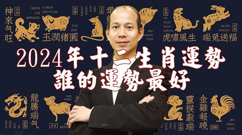 屬龍 幸運色|2024龍年十二生肖幸運色公開！從流年運勢挑精品包。